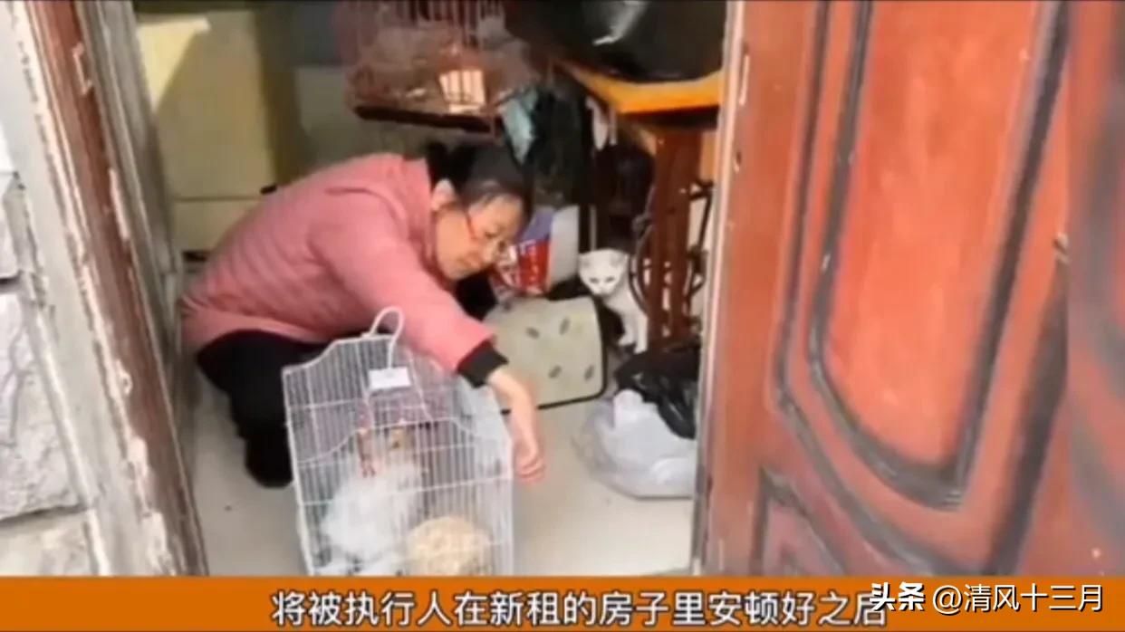 出租房租客不搬离怎么办,房屋出租他不给租金又不走怎么办