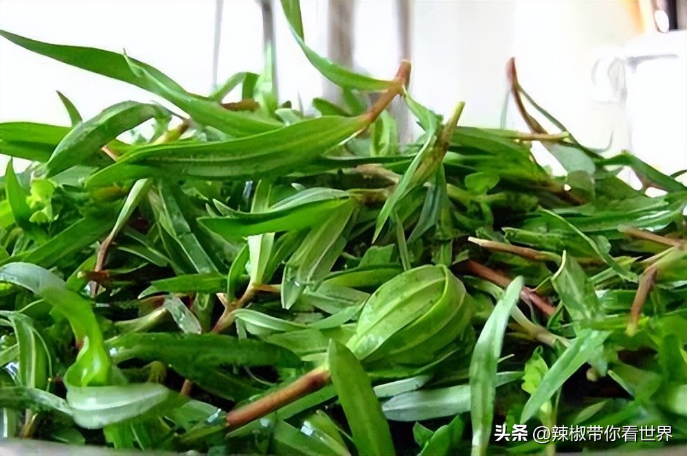 外地旅游连云港好吃的美食推荐,连云港旅游推荐美食