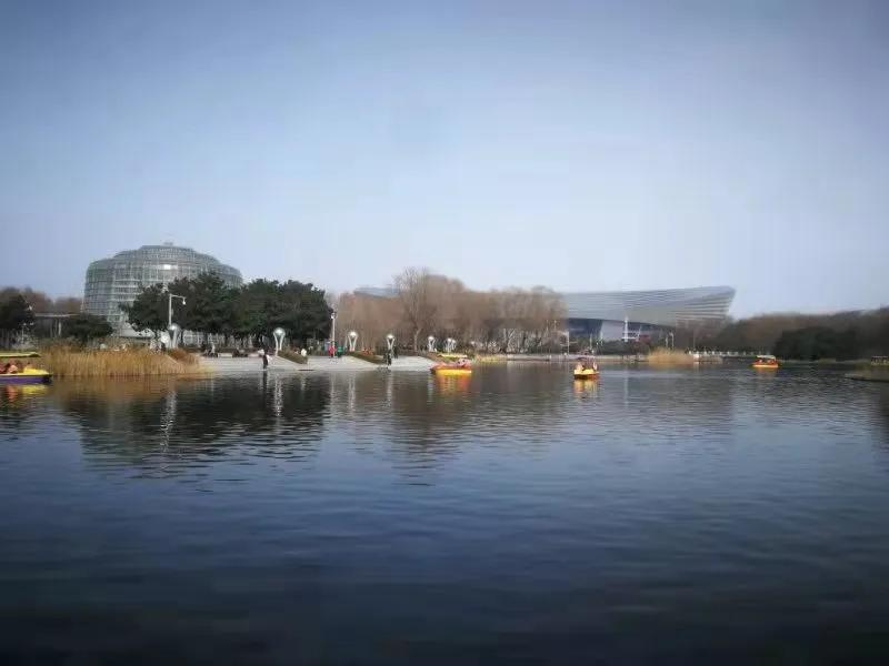 用心发现生活中的美景,用心发现美生活中处处是风景