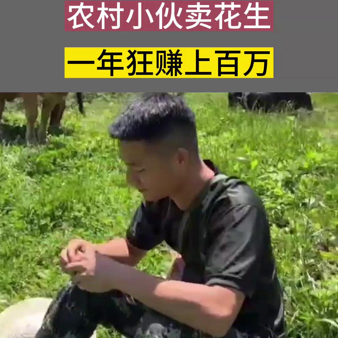 河南小伙靠卖花生半年赚180万,小伙卖花生赚100万