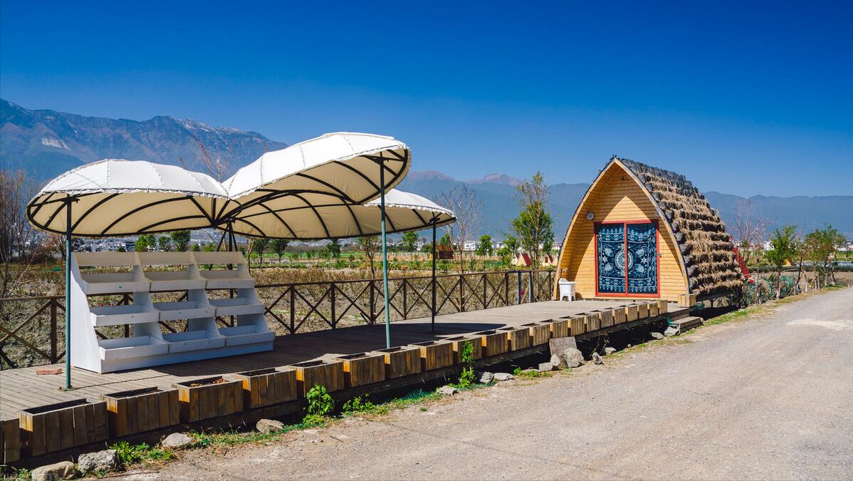 创业是农村人最好的出路,在农村创业有哪些好的创业方向呢