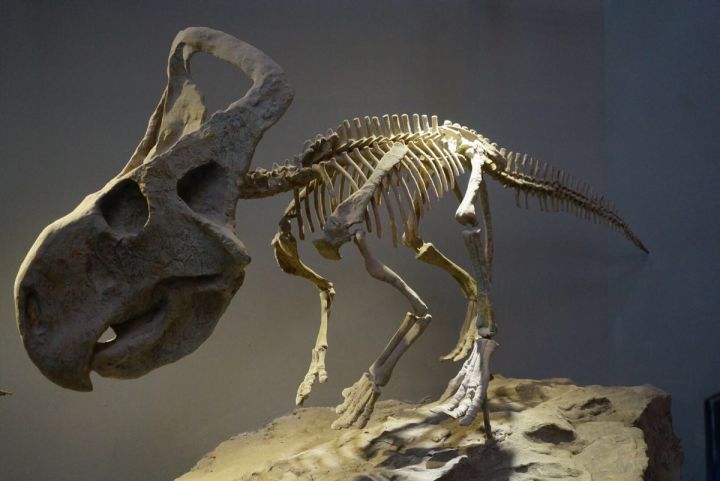 重庆主城小众打卡地,重庆周边小众自驾旅游