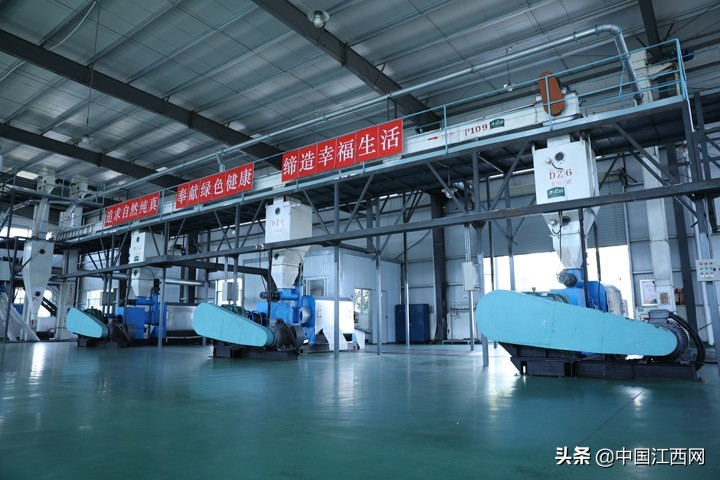 齐云山茶油和高正茶油哪个好,十年磨一剑高山云雾生态茶