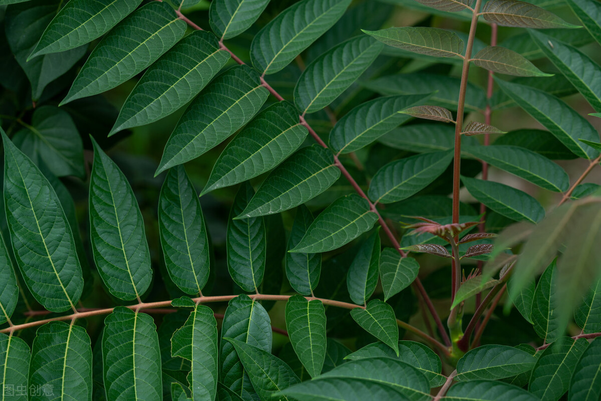 我在职场遇到不公平的事情怎么办,我在面试中遇见的奇葩事