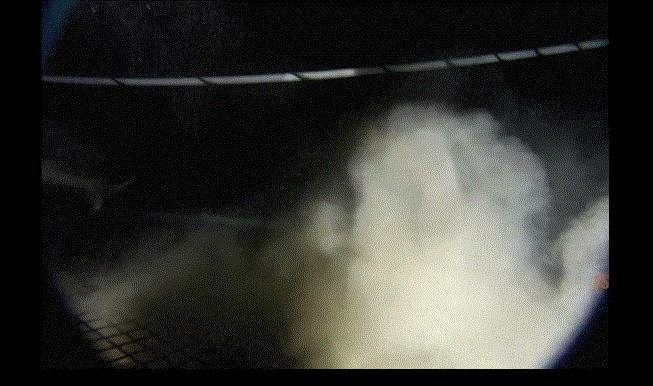 深海巨物捕食鲨鱼看着就害怕,能捕食鲨鱼的深海巨虫