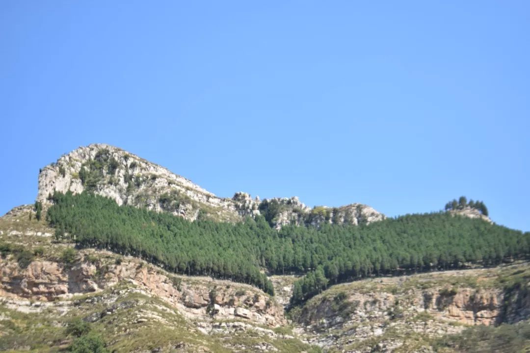 莱芜樱桃文化节,莱芜樱桃文化旅行节
