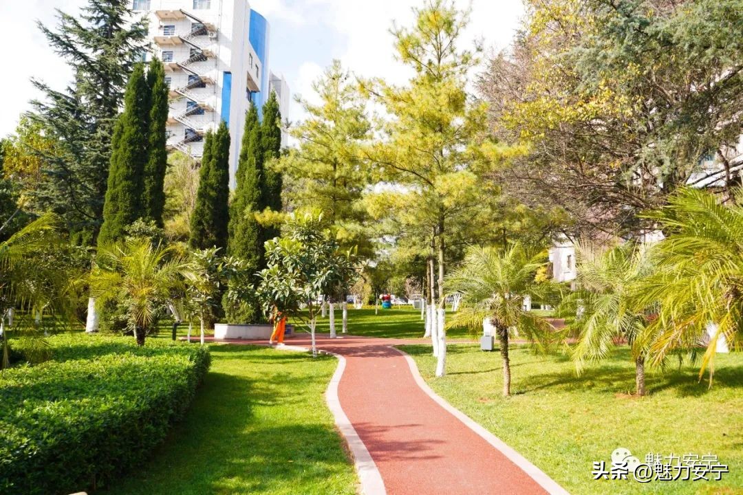 鐖变笂杩欒瘲鎰忕殑鐢熸椿,鐖变笂杩欒瘲鎯呯敾鎰忕殑鐢熸椿