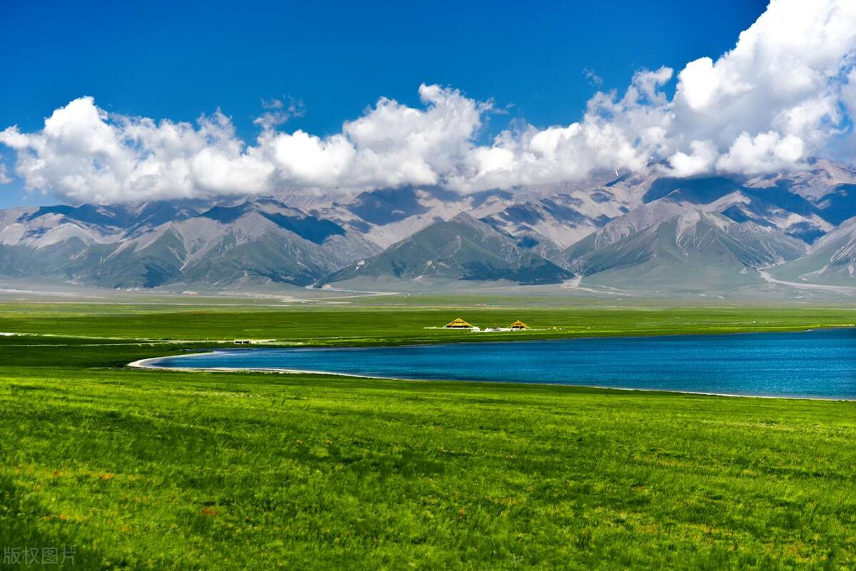 100万把丈夫卖了,100万卖掉自己的老公