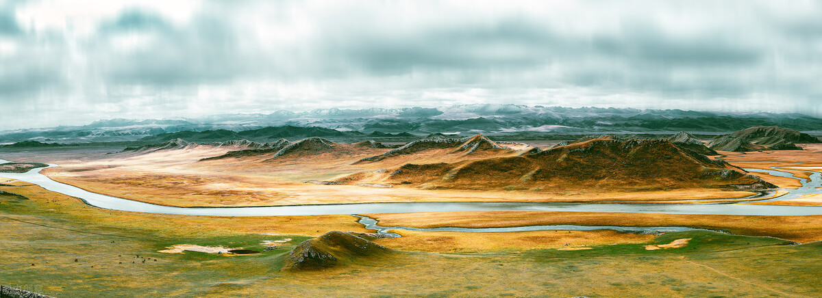 写给领导的一句离职感谢话,写给离职领导的简短祝福语八个字