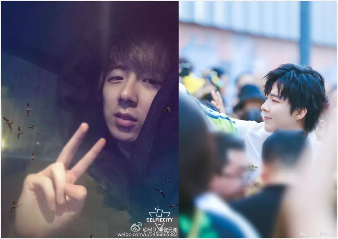 爆红的真相,小红靠捧大红靠命强捧遭天谴