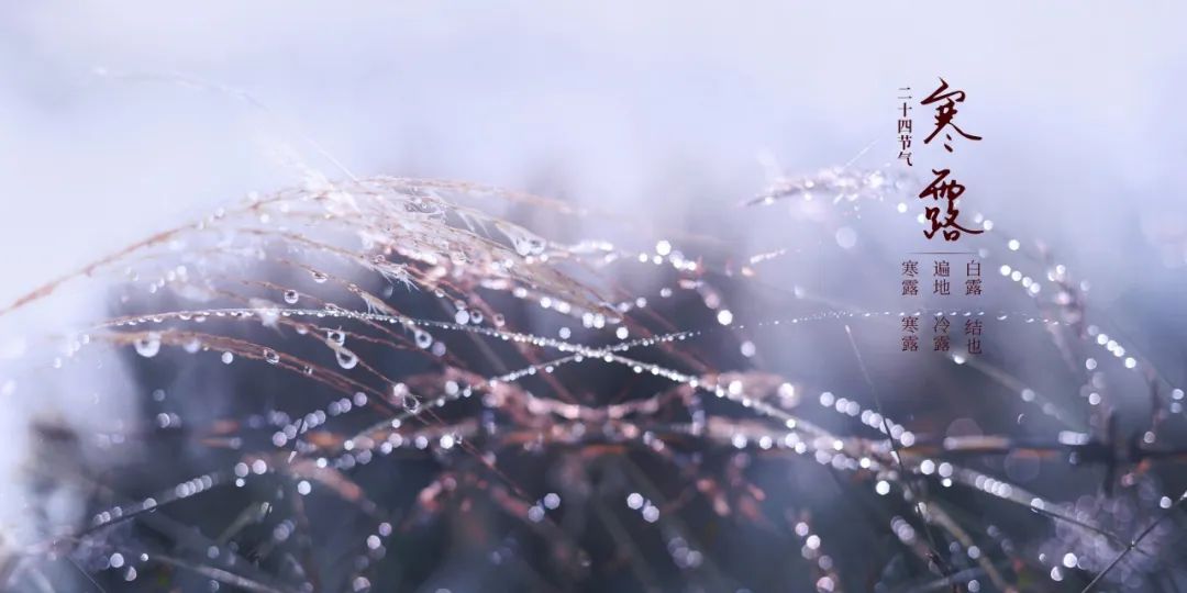 关于寒露的唯美诗句,寒露诗词最美佳句