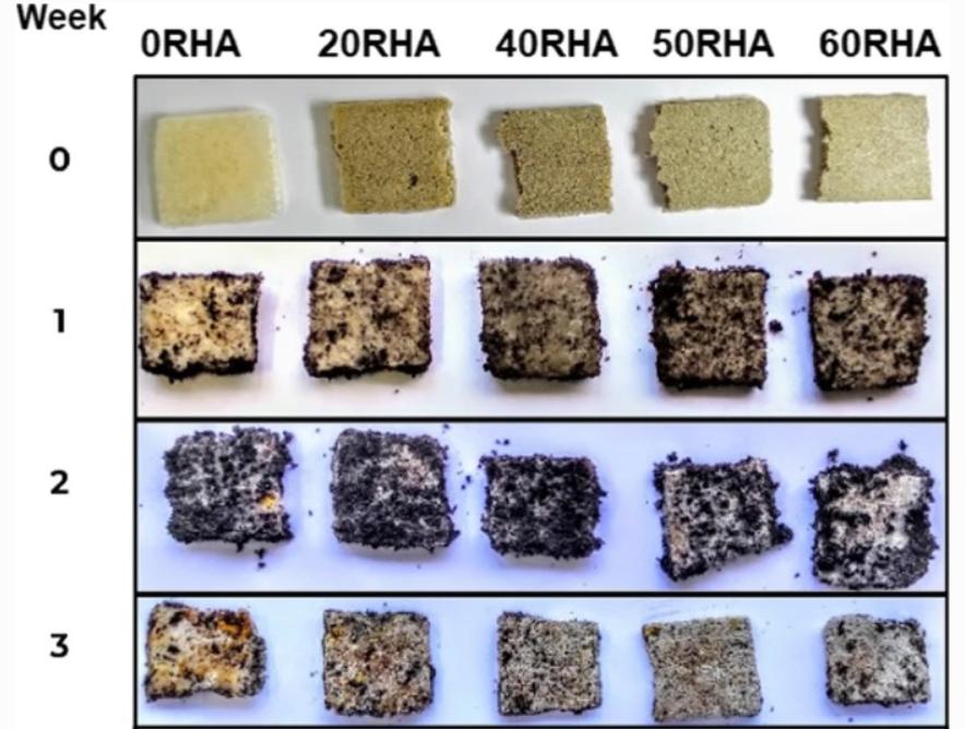 稻壳粉能不能做降解颗粒,稻壳灰能增加水泥粘度
