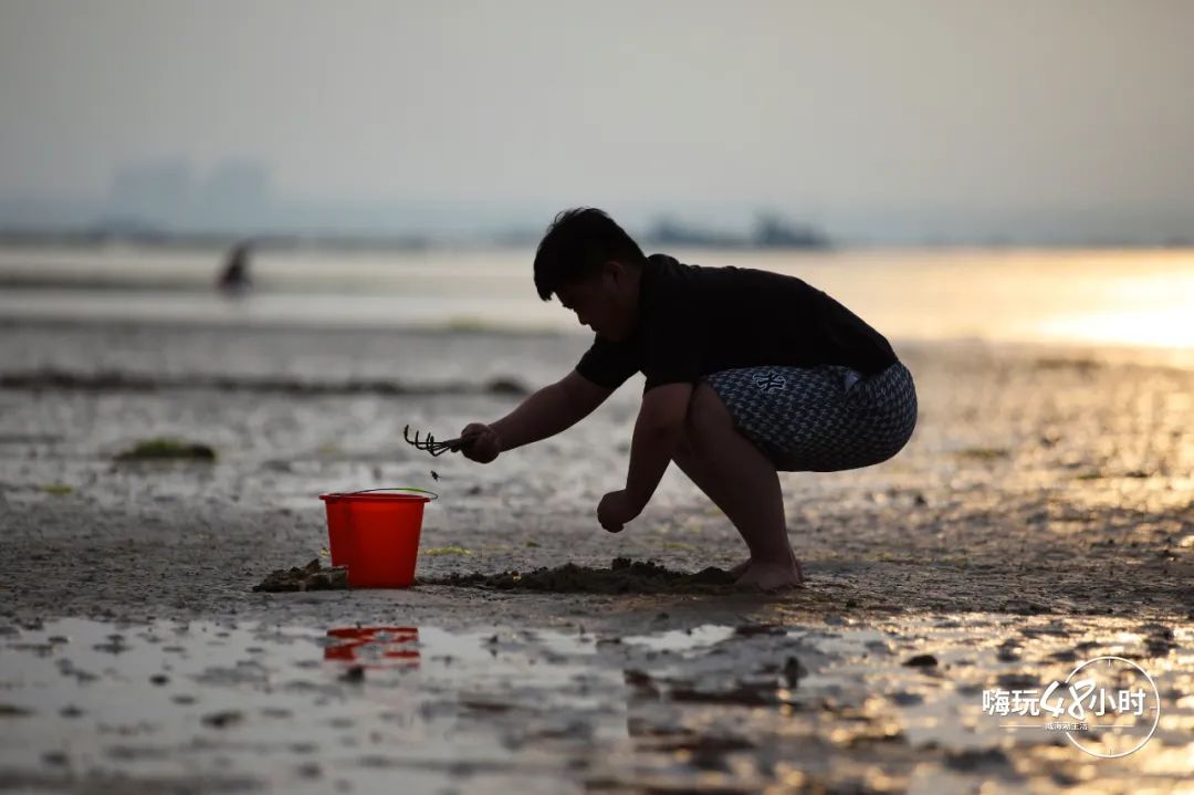 山东荣成云栖民宿,荣成海云栖民宿
