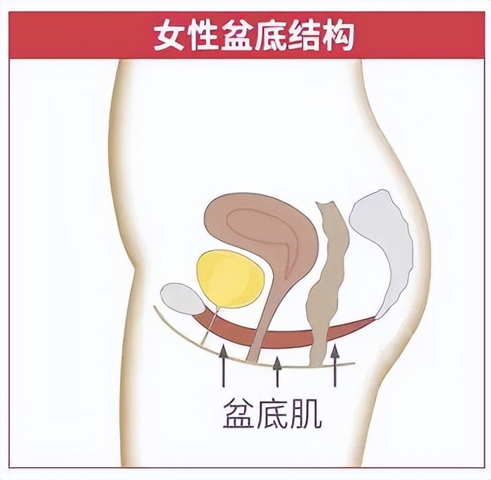剖腹产后如何快速恢复身材,孕妇产后怎么恢复身体