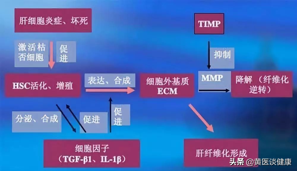有肝癌家族史后代要打加强针吗,有家族肝癌史患者要抗病毒治疗吗