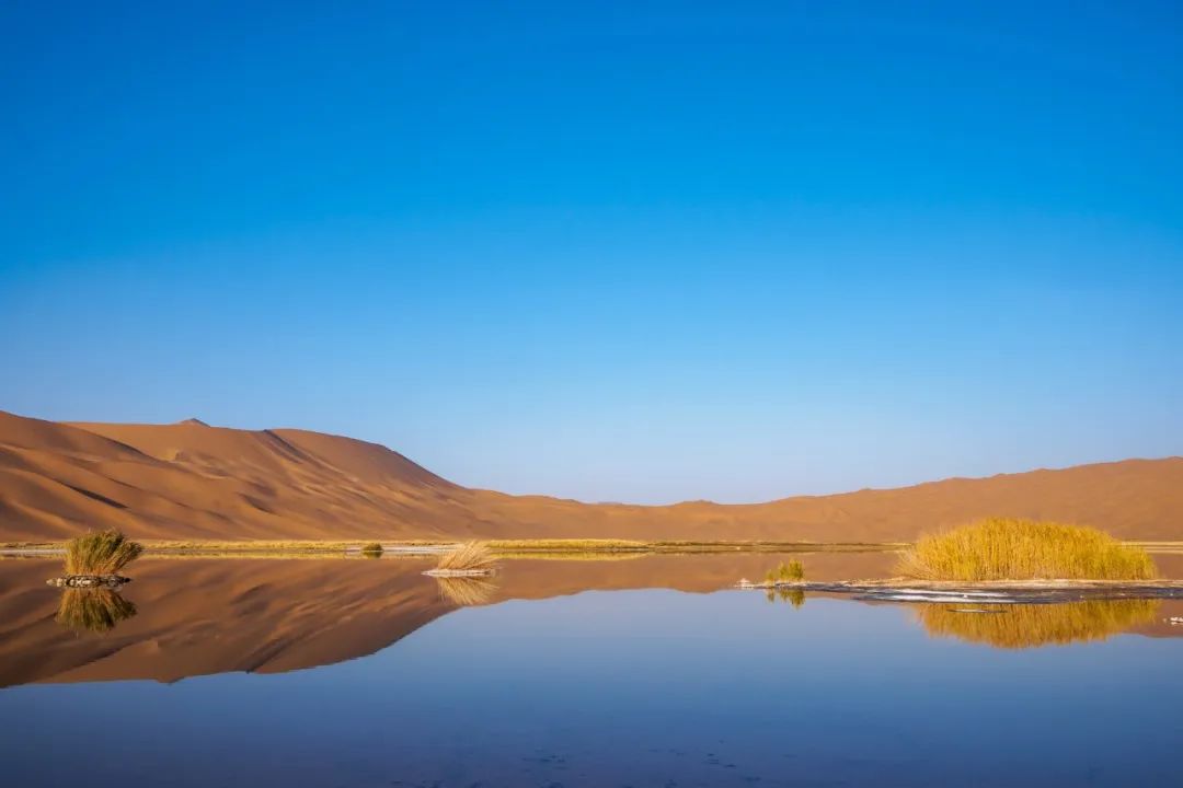 最深情的十句诗句句经典回味无穷,那些让你热血沸腾语录和经典诗词