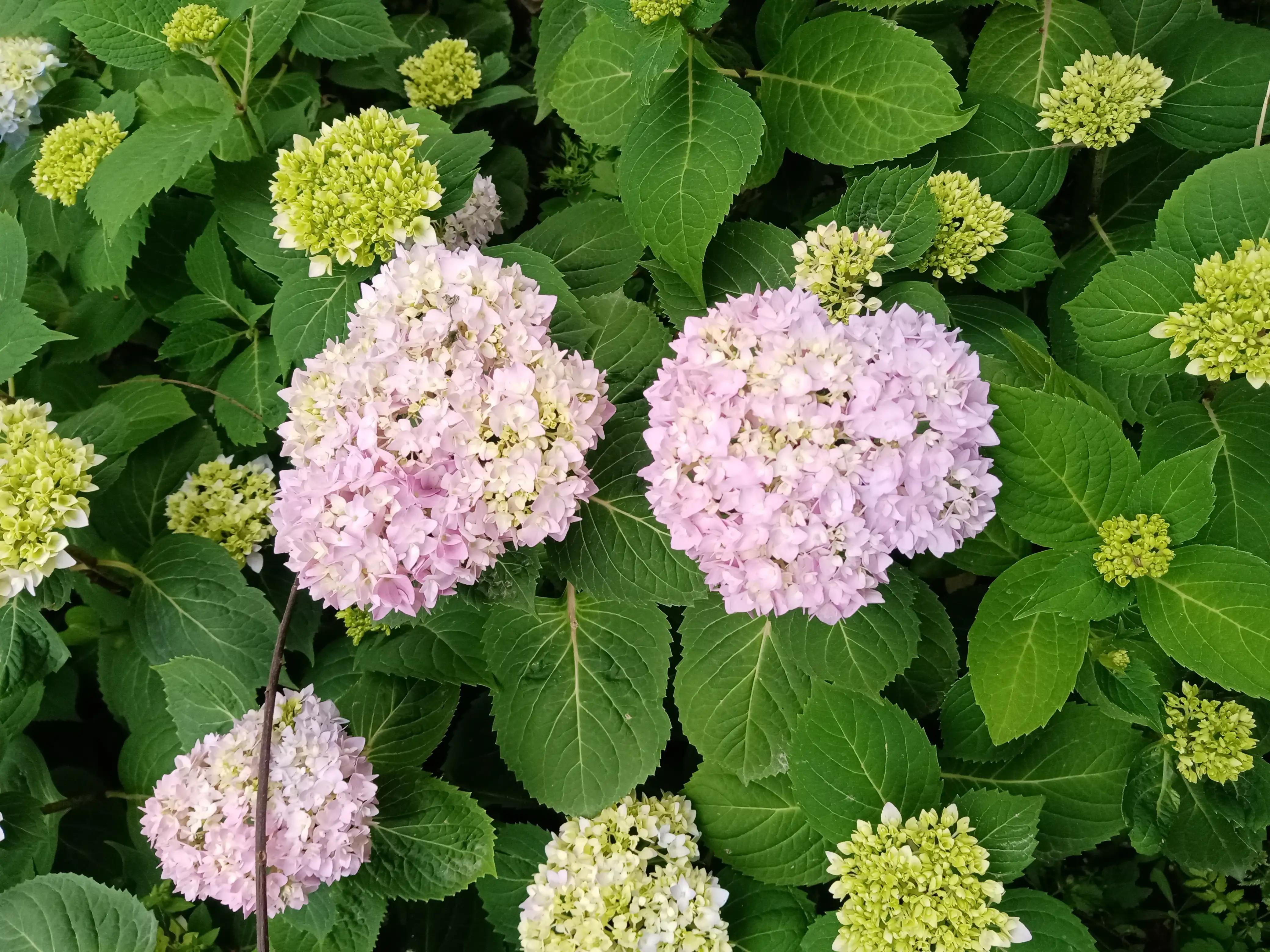 海南封关后能发展起来吗,海南封关最新消息是真的吗