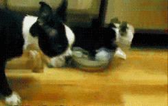 给女朋友送睡衣推荐,给女朋友送一套睡衣