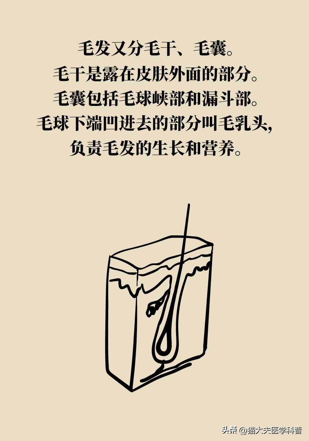 激光永久脱毛一般多少钱,永久激光脱毛是不是骗人的