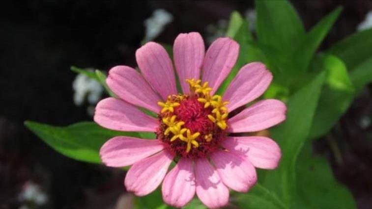 如果你的老公开始嫌弃你,当老公开始嫌弃你时该怎么办