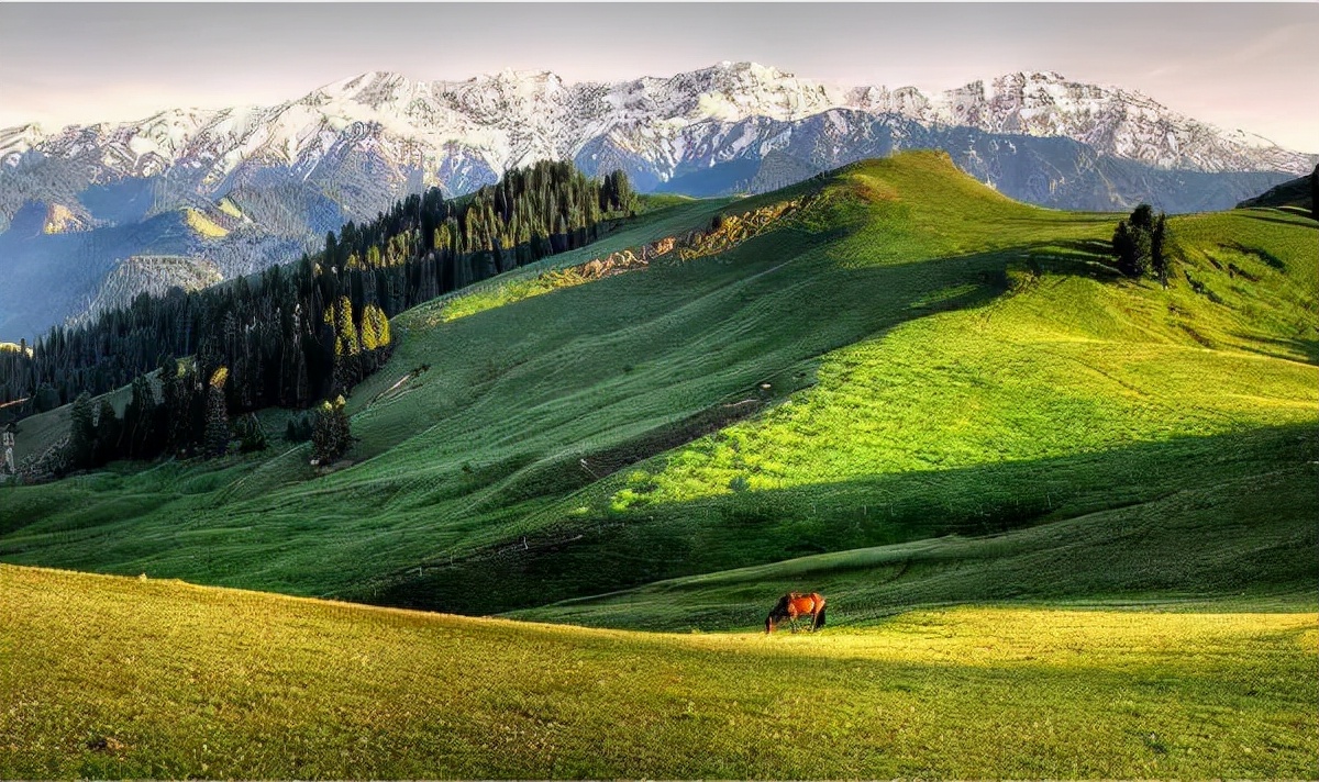 这条惊艳奇绝的公路,行走在天山脊梁上的最美景观公路