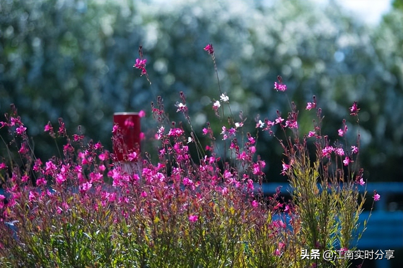 宫崎骏的绝美风景,治愈系宫崎骏夏日风景
