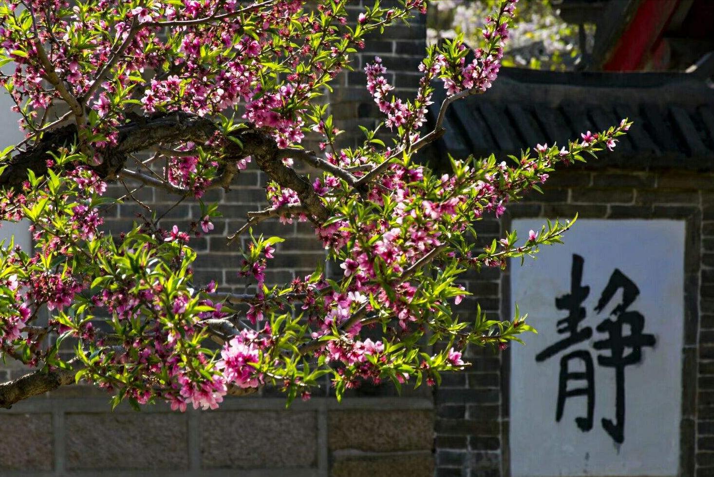 刘禹锡最著名的十首诗及赏析,一代诗豪刘禹锡经典名篇