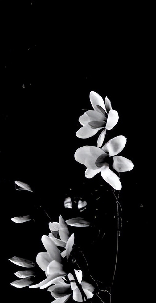 黑暗系的壁纸文字,黑暗色系的壁纸