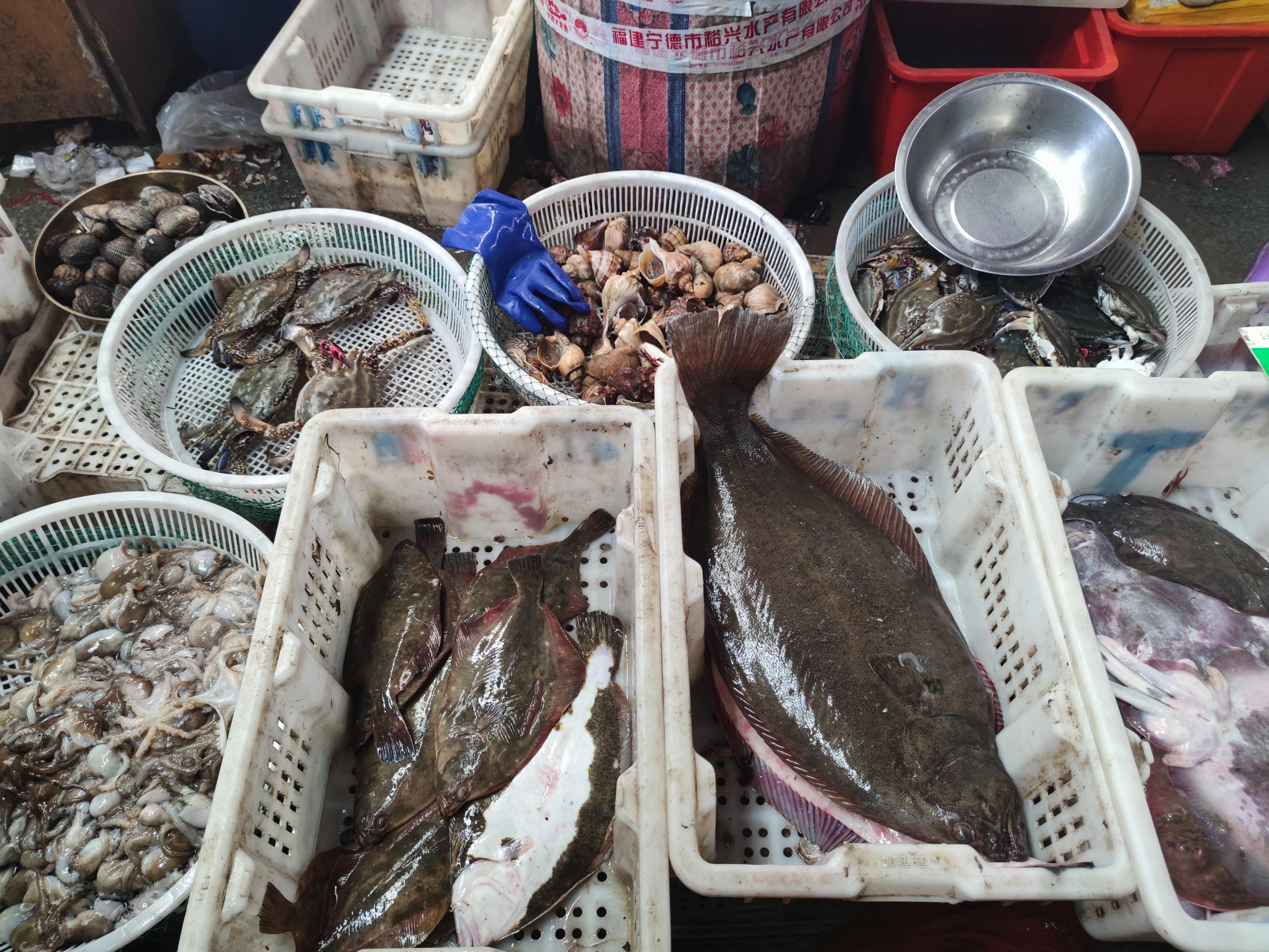 价格稍便宜一下的海鲜,常见的45种海鲜价格大全