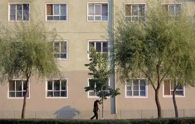 朝鲜工作的日子40集,我在朝鲜的日子4