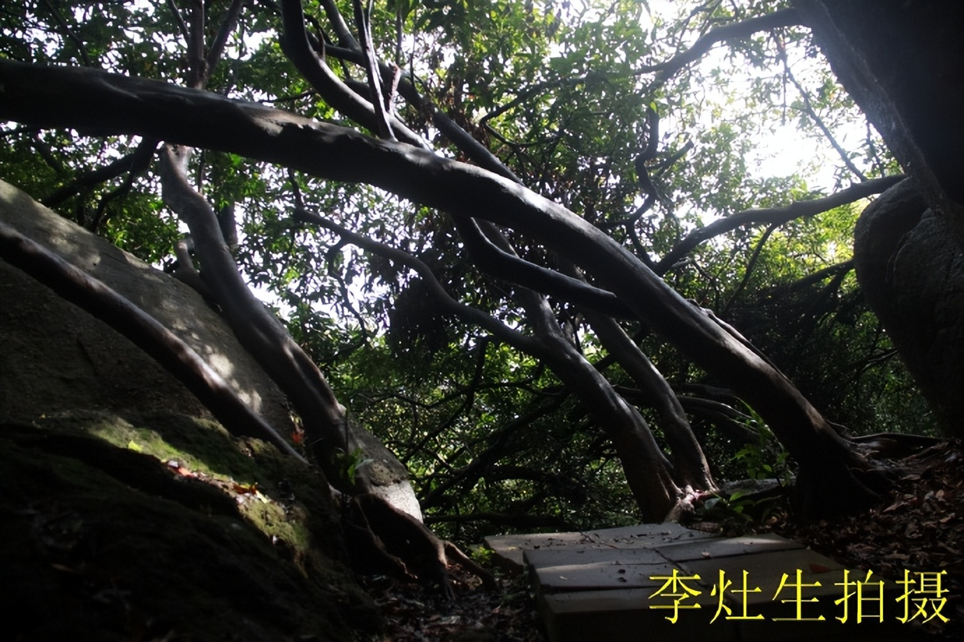 杨四将军庙简介,杨四将军庙在哪个位置