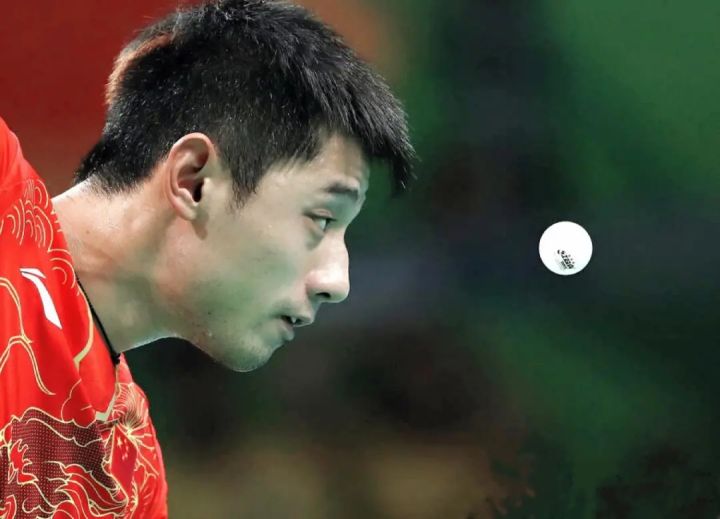 藏獒张继科图片,藏獒张继科视频