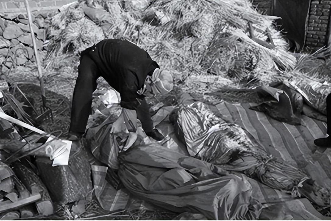 黑龙江菜窖藏尸案视频,东北女子杀老公13年藏自家菜窖