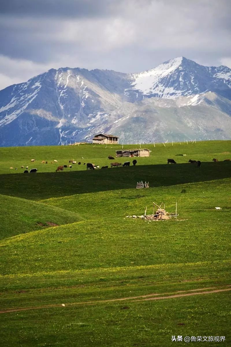 大美新疆的风景有哪些,大美新疆北疆美