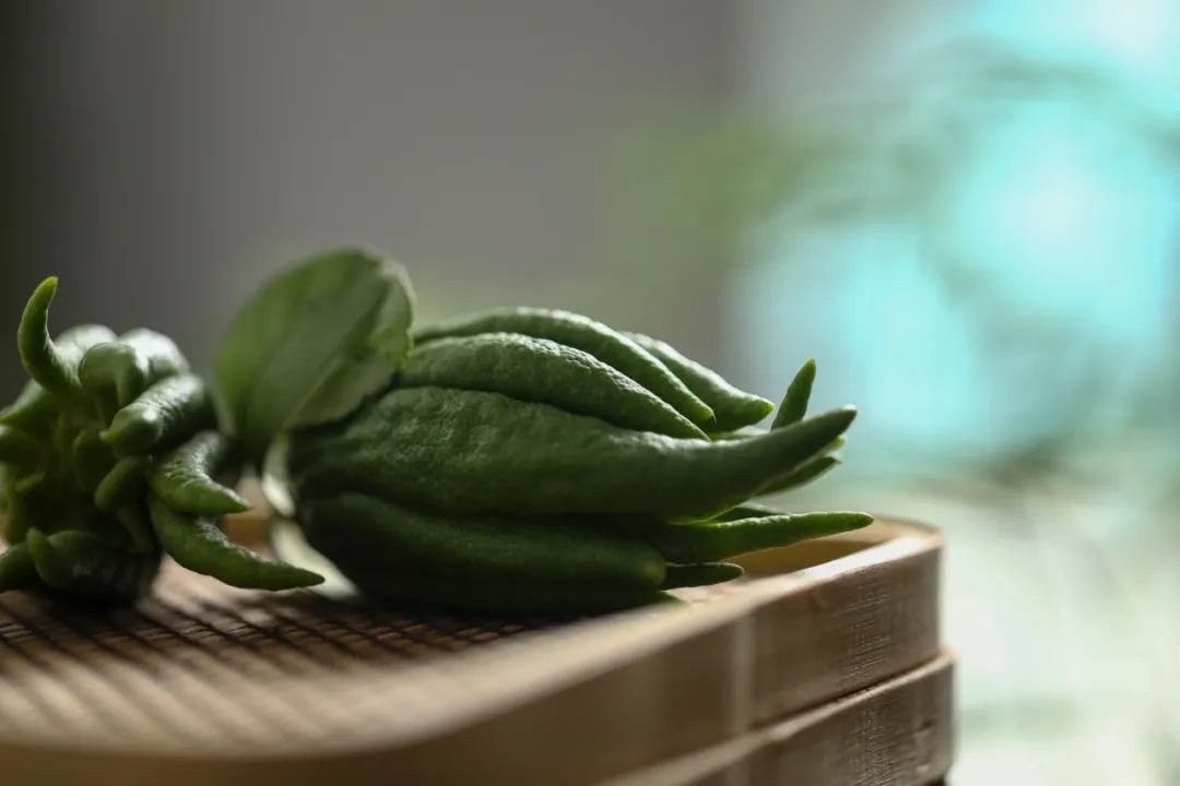 佛手清供哪里买,又到白茶飘香时