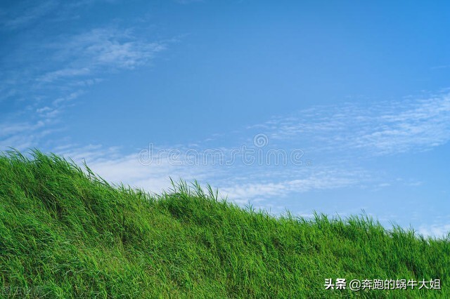 人性的弱点第二章全文,人性的弱点第二章精华