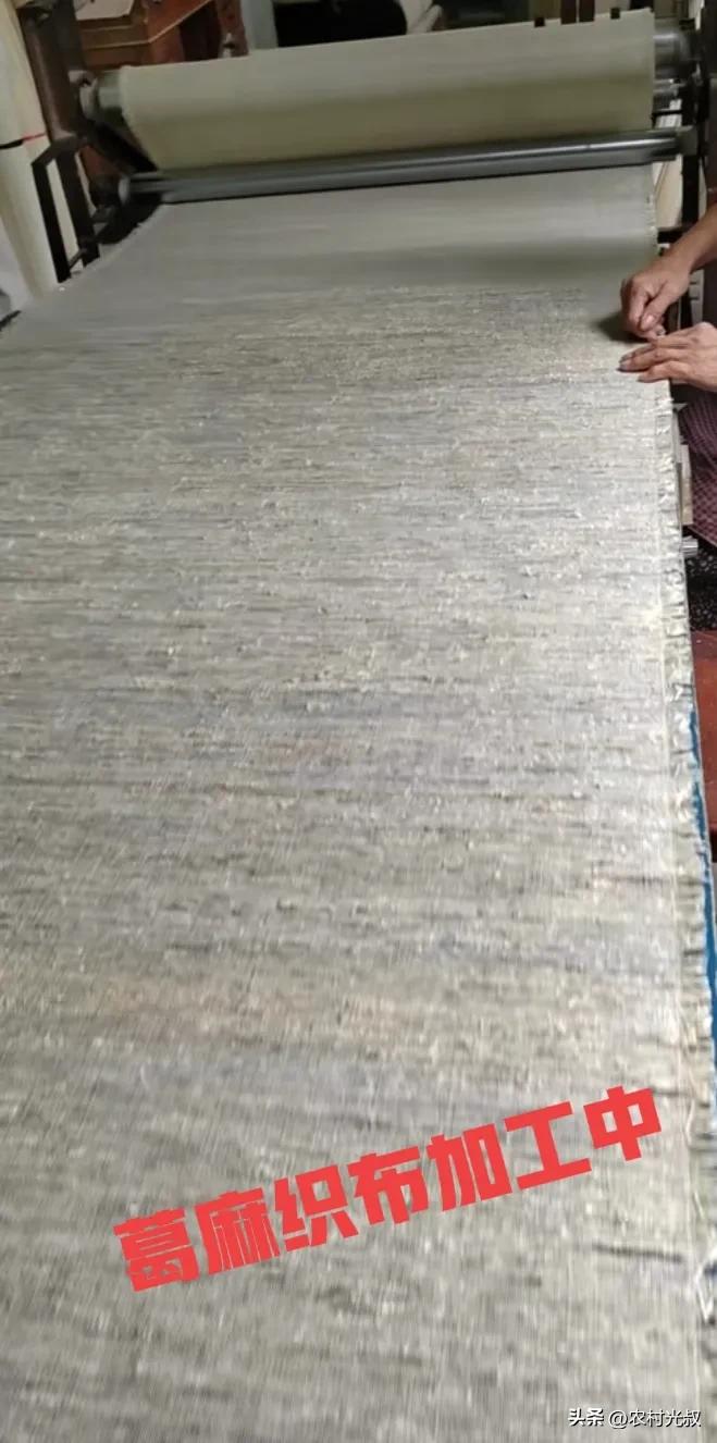 农村不起眼的东西有哪些可以卖钱,在农村有什么好的办法能发家致富