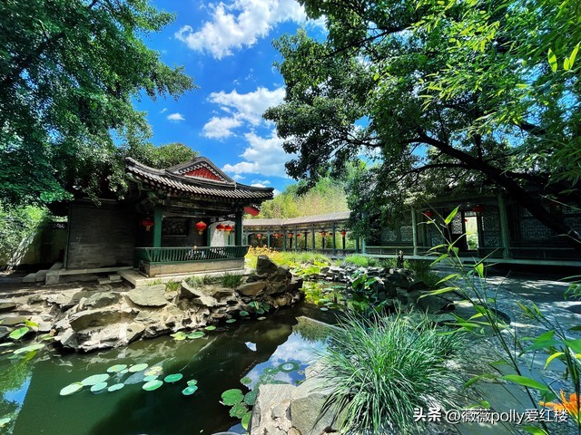 薛宝钗为什么恐怖,薛宝钗真的坏吗