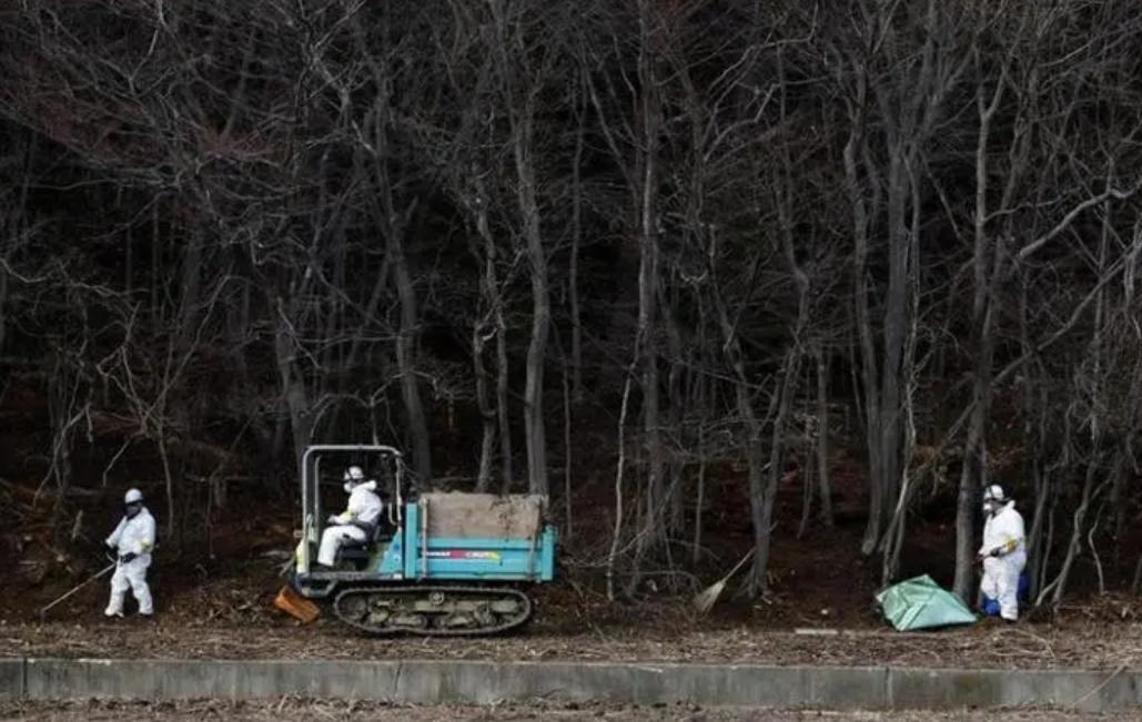 福岛便池藏尸案破案,福岛便池藏尸案破案思路