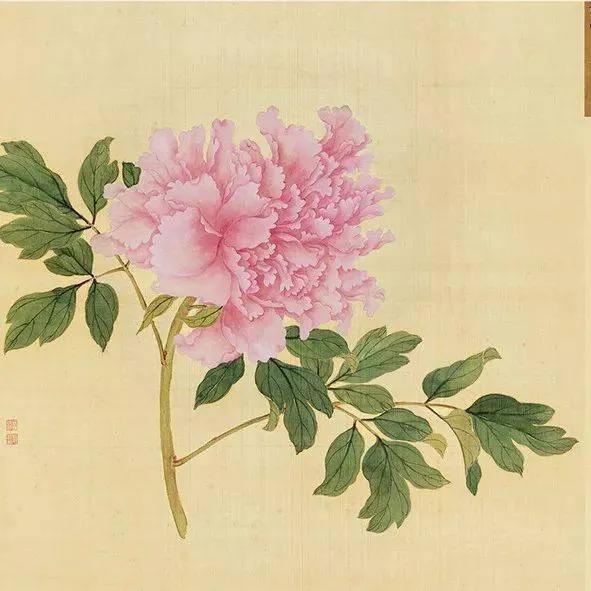 蒋廷锡牡丹画法,蒋廷锡百种牡丹画法