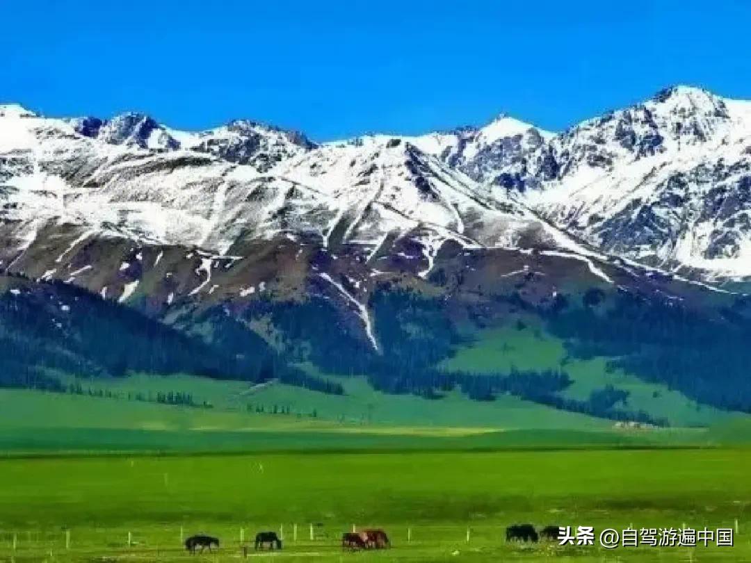 全国最美十大风景,疆内风景图片大全