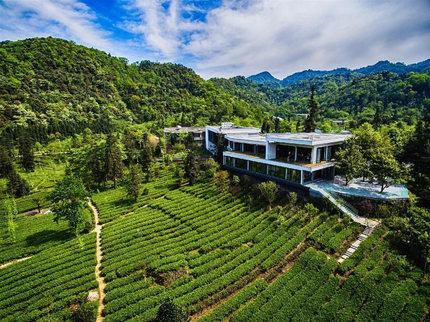 国际茶日致敬品茶爱好者们,国际茶日邀您共品一杯茶