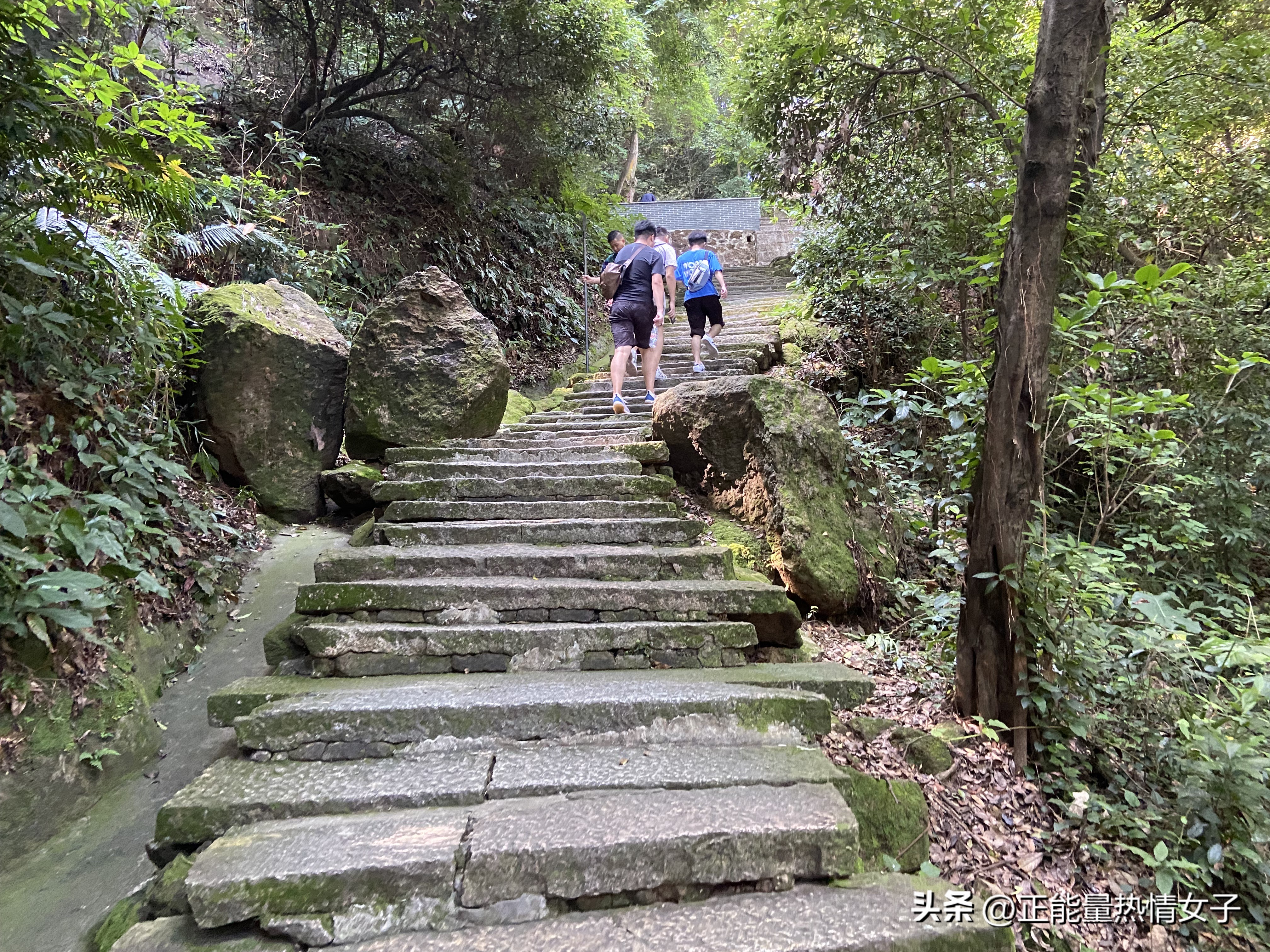 黄飞鸿故居一日游心得,黄飞鸿故里游玩攻略