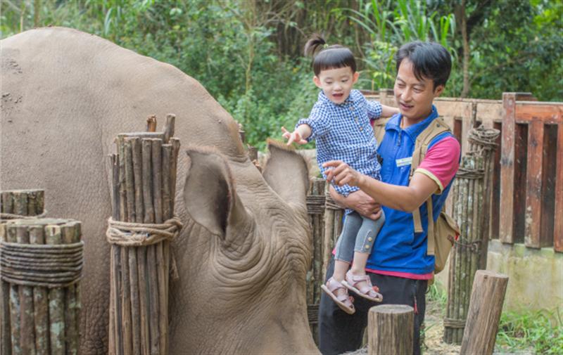 云南六一儿童节旅游攻略,云南适合小朋友旅游的地方