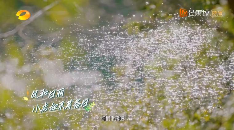 云上的小店第二季的小店开在哪里,云上的小店周几开业