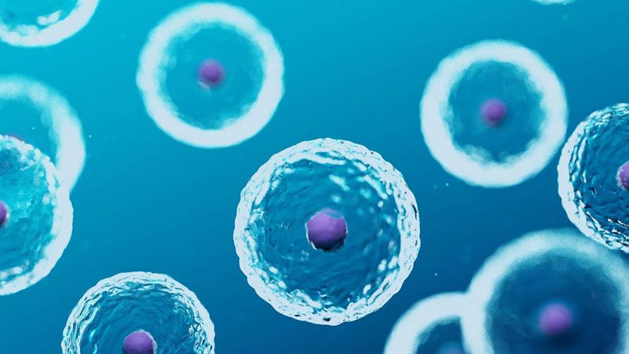 胸腔镜检查使用盐酸利多卡因疼吗,胸腔镜下手术并发症的处理原则