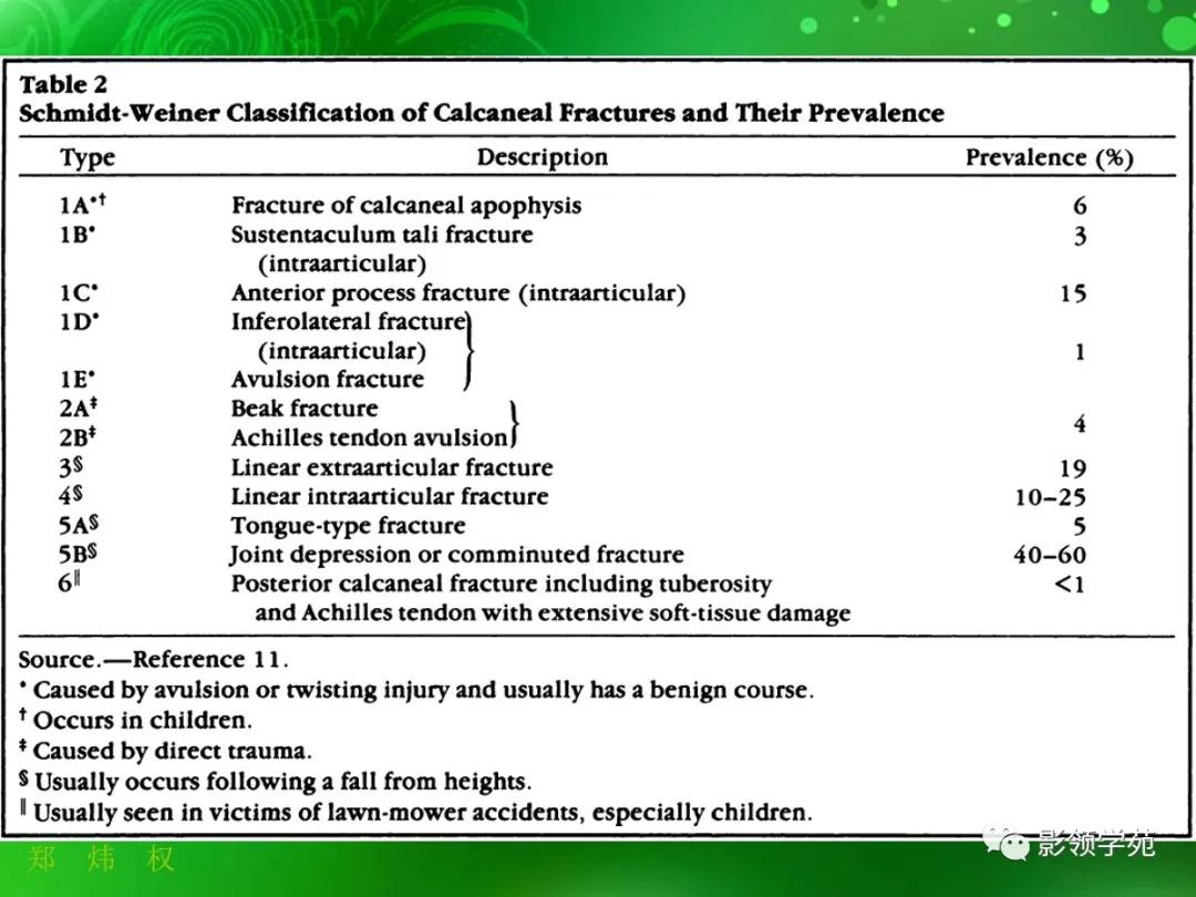 正常跟骨影像图,跟骨正常与变异影像表现图片