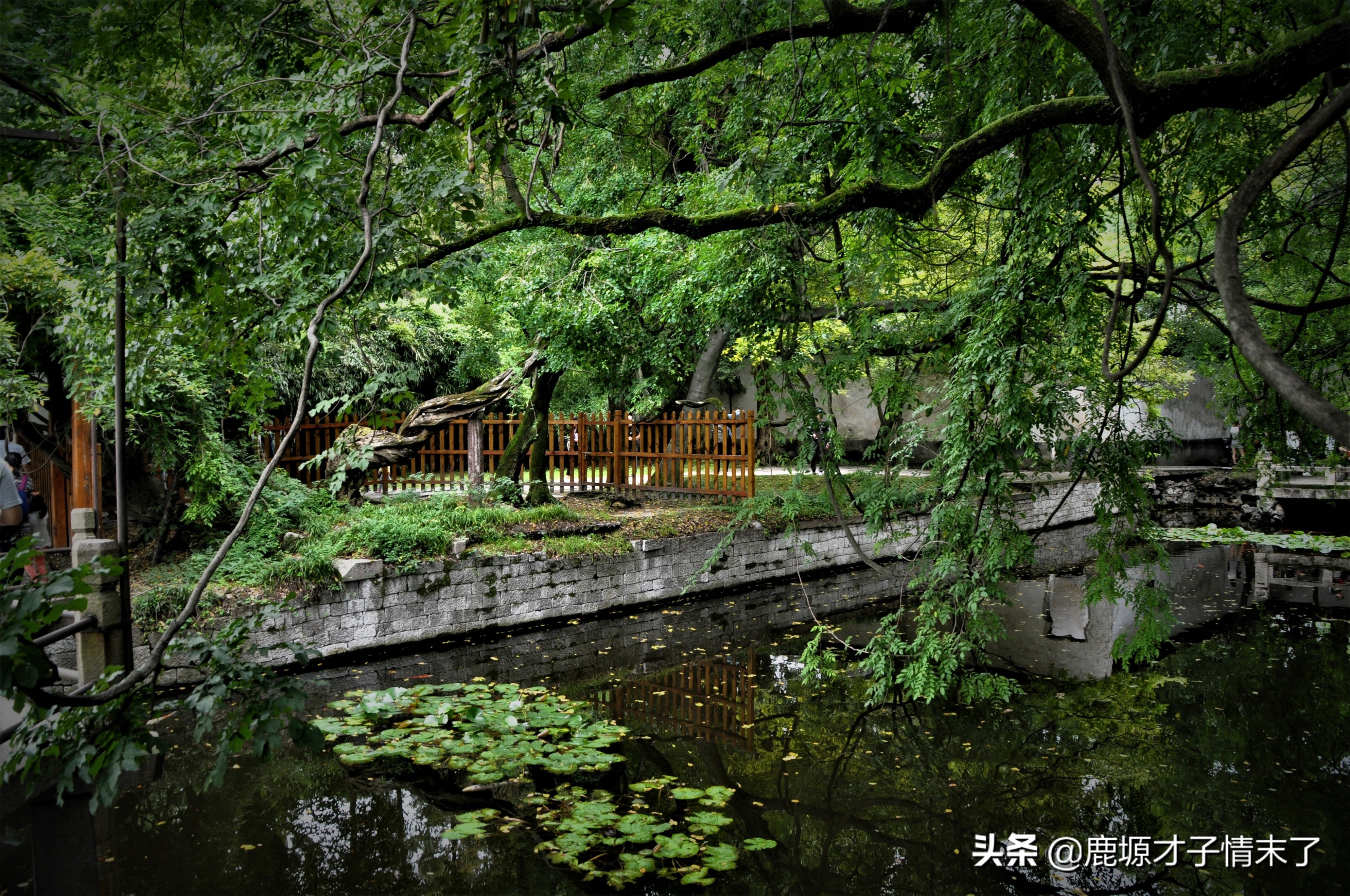 没有最美只有更美广西山水,醉美太湖和南浔古镇哪个好玩