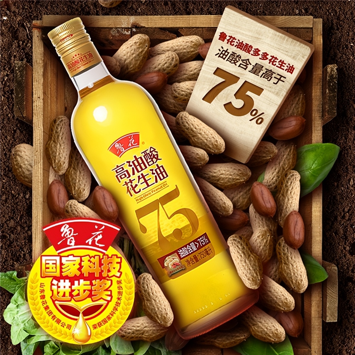 鲁花花生油高油酸2.5,鲁花花生油为什么香味纯正又健康