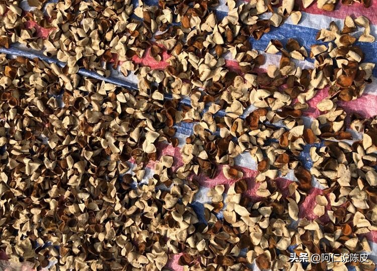 新会陈皮的真相,新会陈皮辨别真假